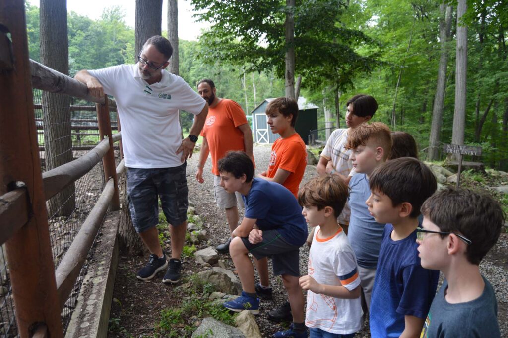 children looking at animals at gate hill day camp